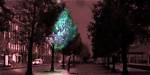 Could Trees Replace Street Lights?