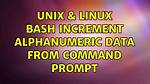 Counter Increment in Bash Loop Not Working