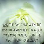 Courageously Took a Risk