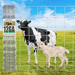 Cow Panel