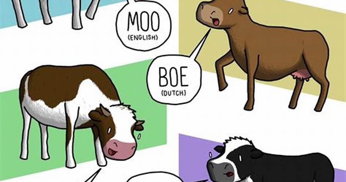 Cows' Sounds