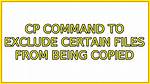 Cp Command to Exclude Certain Files from Being Copied