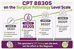 Cpt 88305