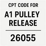 Cpt Code for A1 Pulley Release