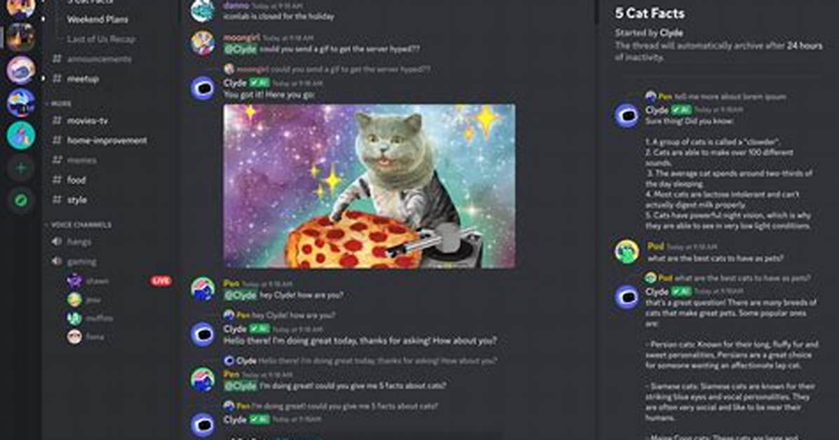 Create Interactive Discord Payment Chatbots & Forms with Widgets