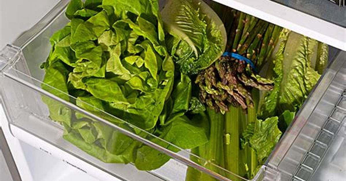Crisper Drawer