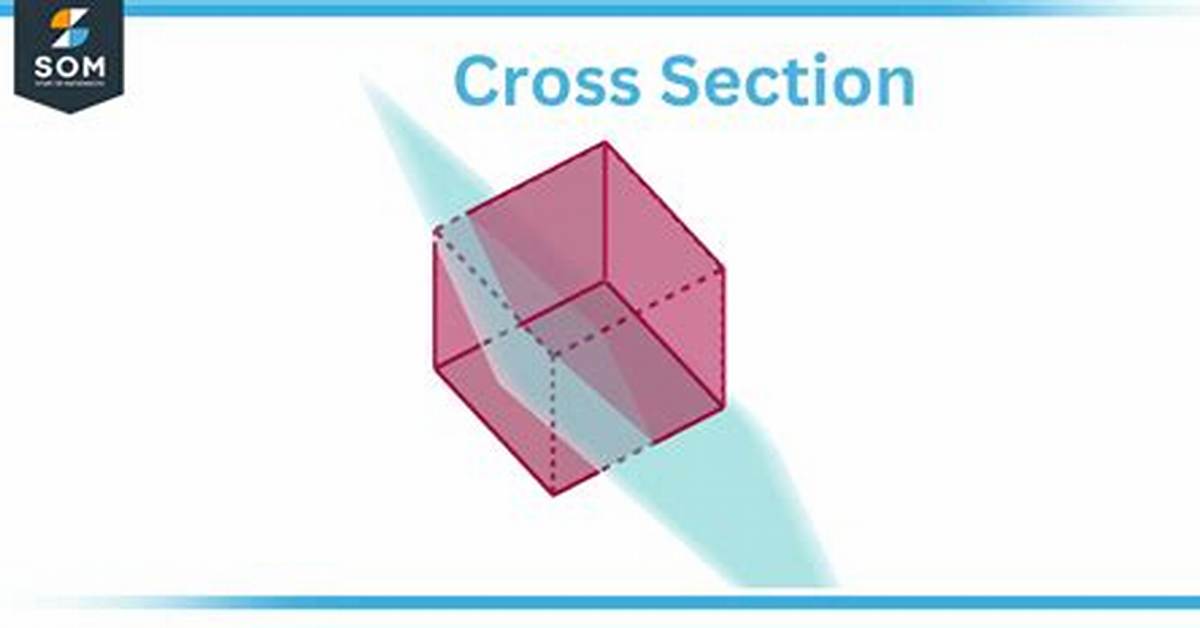 Cross Section Meaning