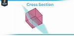 Cross Section Meaning