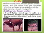 Cry from Cattle