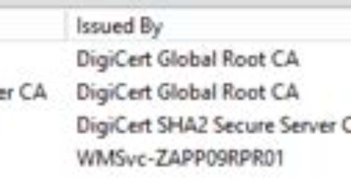 Crypt_E_Not_Found When Importing Certificate