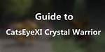 Crystal Project – Warrior Guide