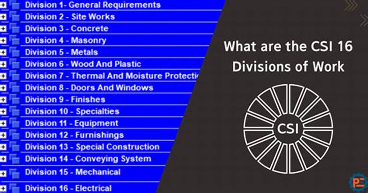 Csi Divisions