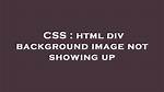 Css Background Image Not Displaying