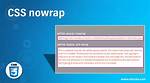 Css Nowrap on Text [Duplicate]