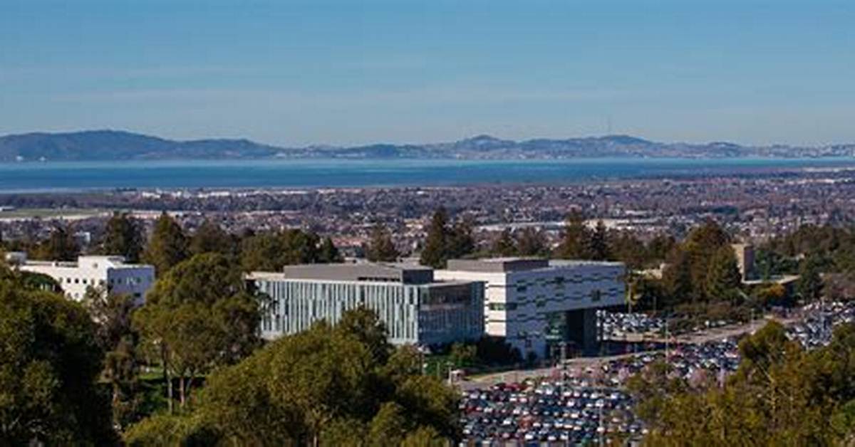 Csueb