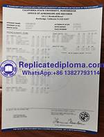 Csun Transcripts