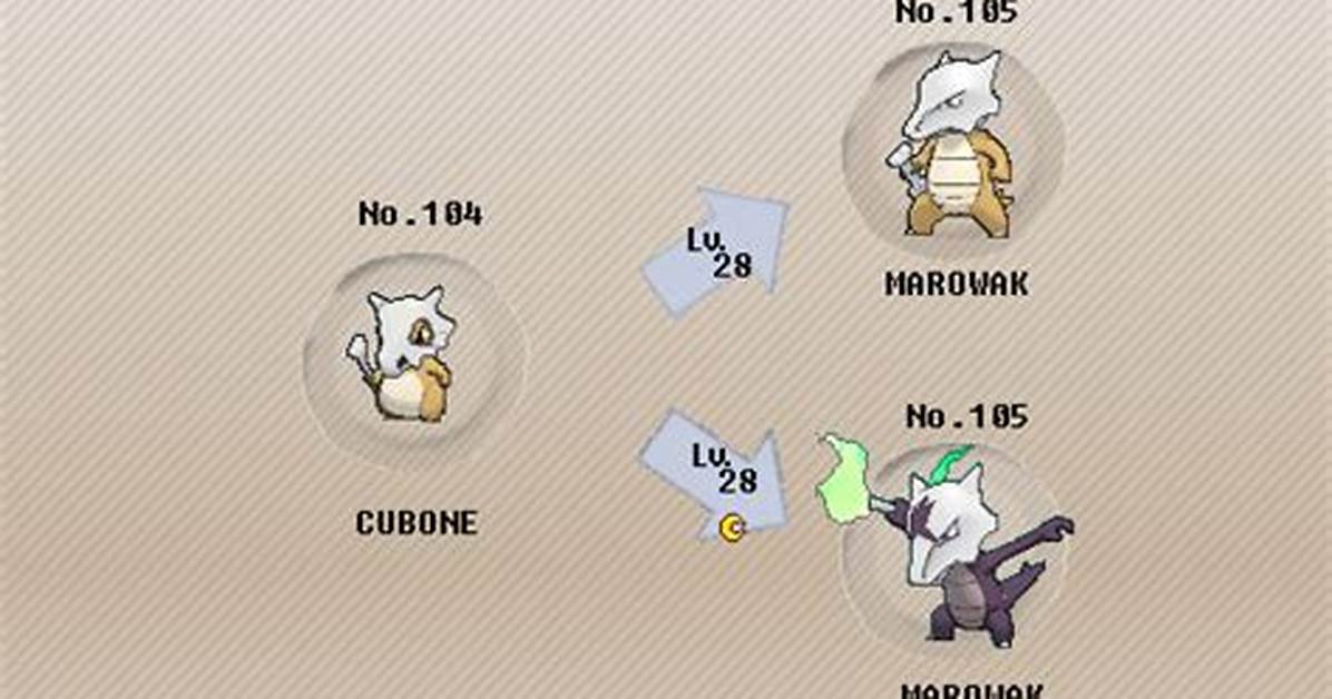 Cubone Evolution Level