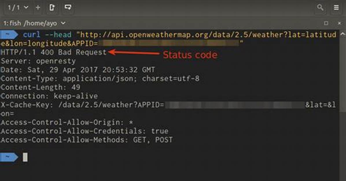 Curl to Return Http Status Code Along with the Response