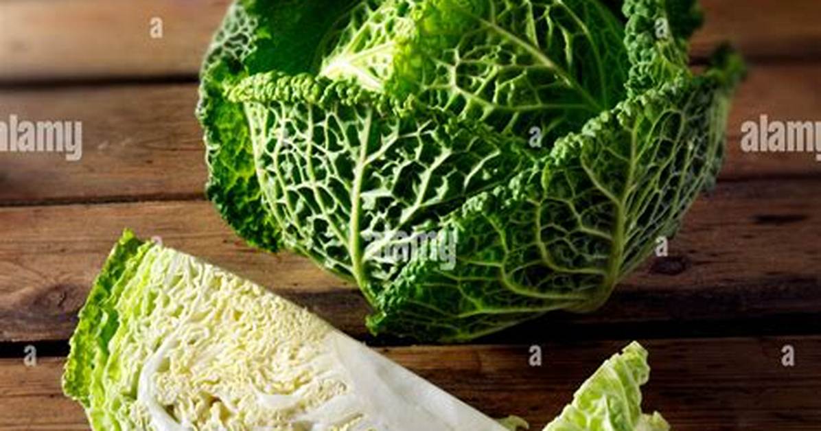 Curly Cabbage