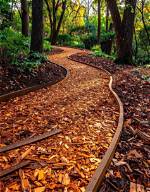 Curved Paths