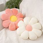 Cushion