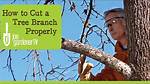 Cut off Like Branches
