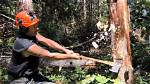Cut with an Axe