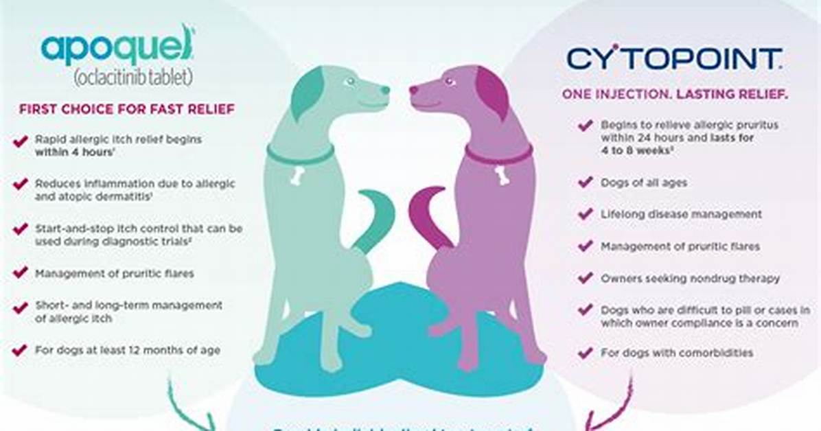 Cytopoint Side Effects
