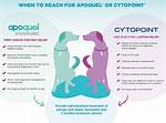Cytopoint Side Effects