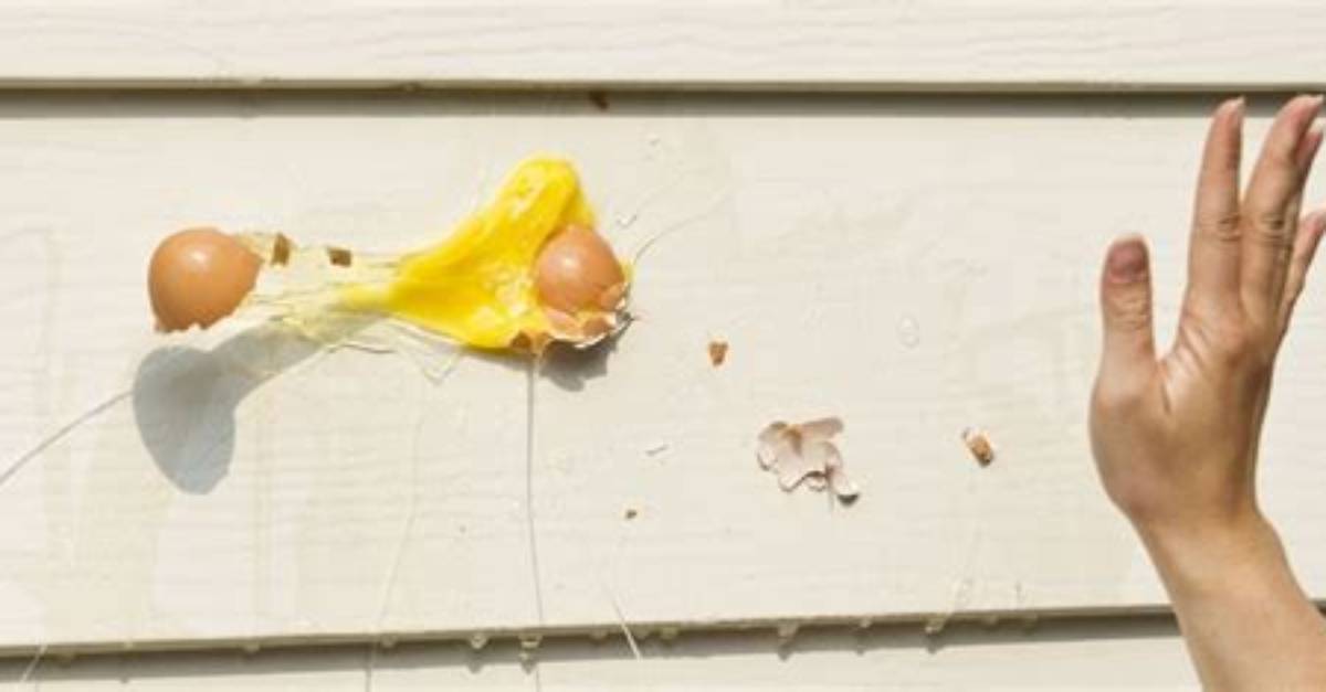Damage from Egging a House