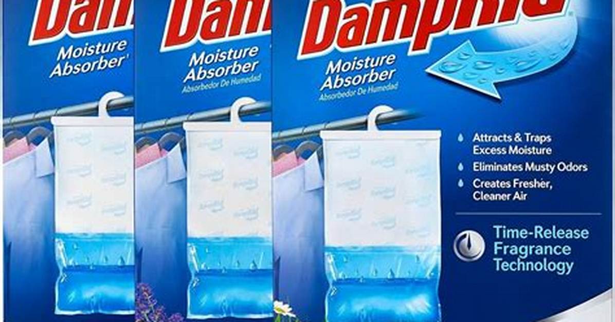 Damp Rid