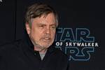 Dan Hamill Net Worth