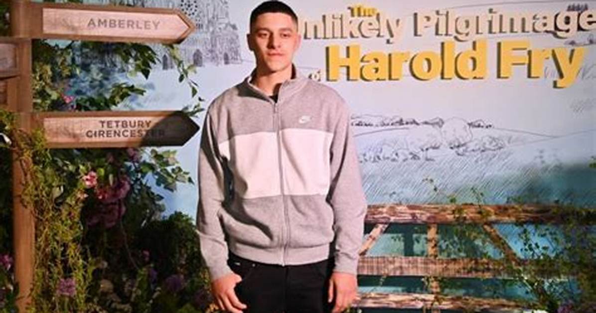 Daniel Frogson Bio (Wiki)