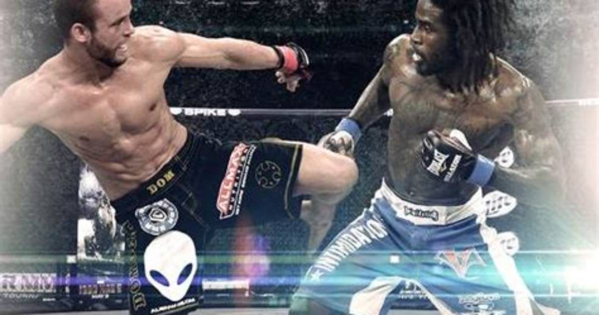 Daniel Straus (Mma)