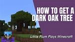 Dark Oak Tree Minecraft
