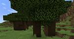 Dark Oak Tree
