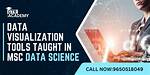 Data Science with Visualization Msc