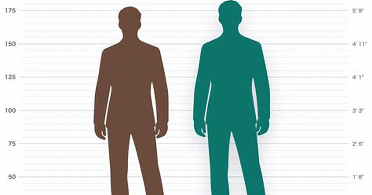 David Beckham Height