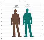 David Beckham Height