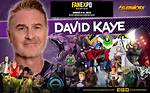 David Kaye