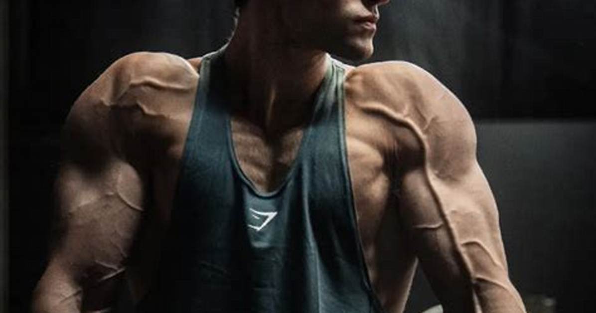 David Laid