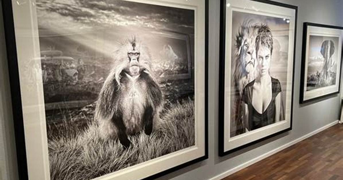 David Yarrow
