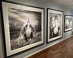 David Yarrow