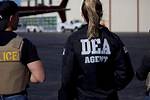 Dea Undercover Agent