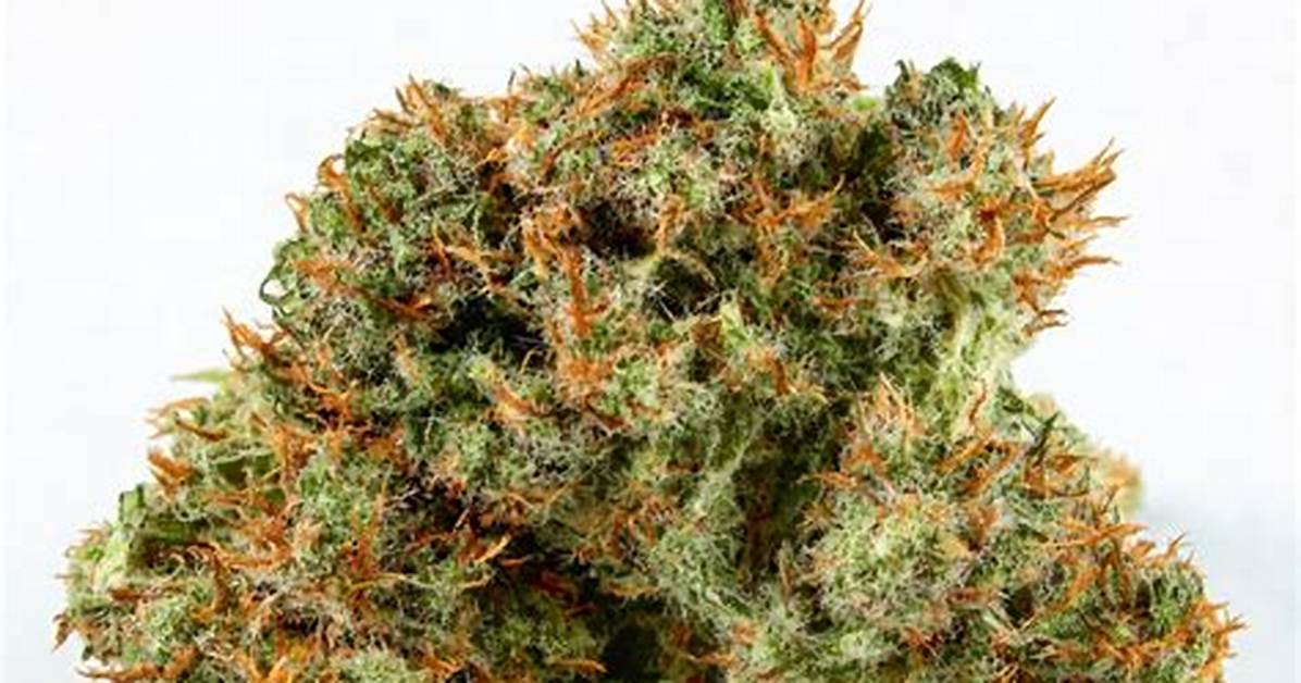 Dead Head Strain