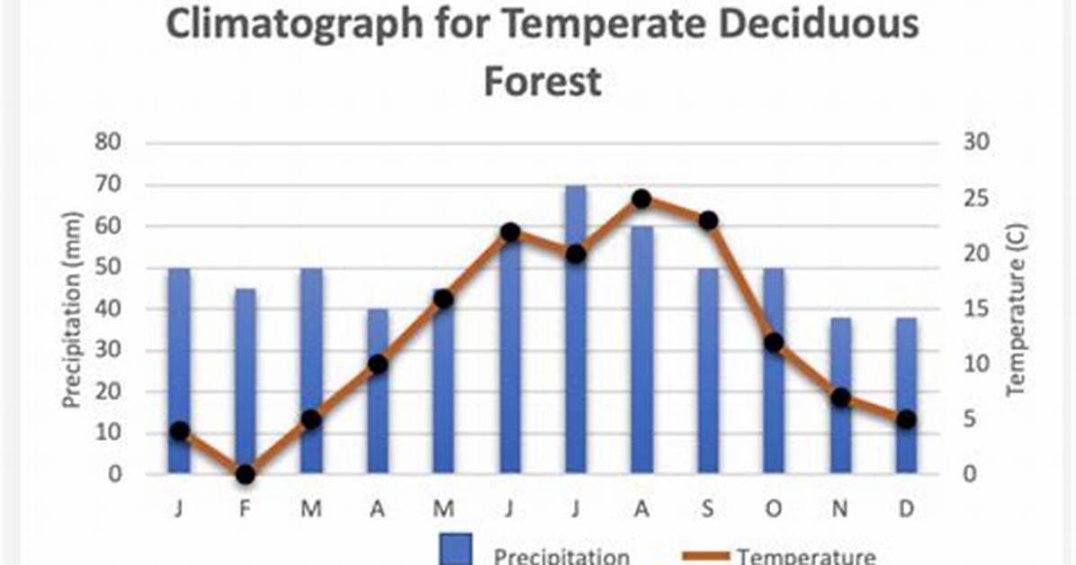 Deciduous Forest Climate
