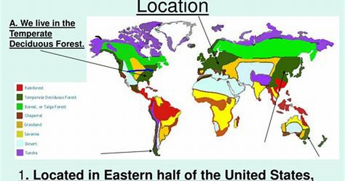 Deciduous Forest Location