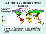 Deciduous Forest Location