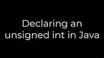 Declaring an Unsigned Int in Java