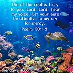 Deep Distress